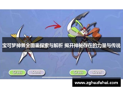 宝可梦神兽全图鉴探索与解析 揭开神秘存在的力量与传说