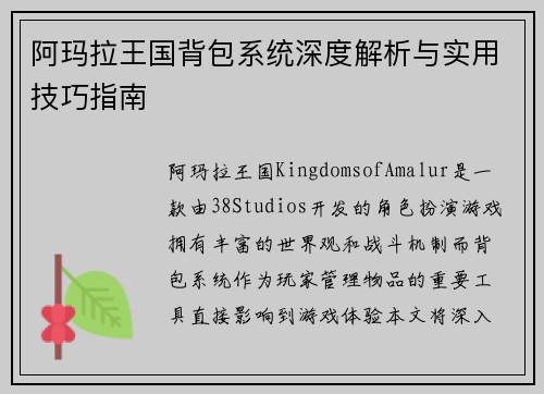 阿玛拉王国背包系统深度解析与实用技巧指南